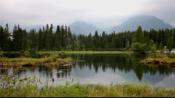 Beautiful mountain lake — Stock Video