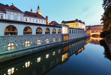 Ljubljana, Slovenya - ljubljanica Nehri'nin ve orta çarşı