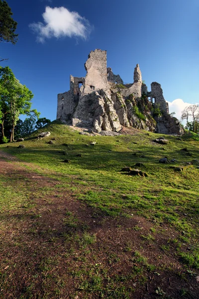 A kastély Hrusov tönkre — Stock Fotó