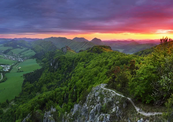 Зелёная лесная гора на закате с солнцем — стоковое фото