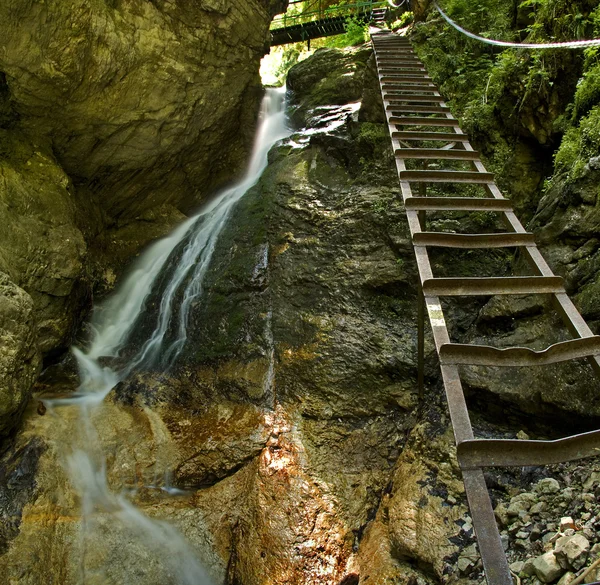 Canyon avec ruisseau de montagne et échelle en bois — Photo