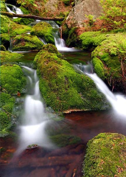 Waterval in nationaal park Krkonoše - Tsjechisch — Stockfoto