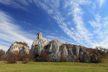 Ruin of castle in Waisenstein, Palava-Moravia, Czech republic clipart