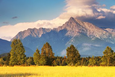 Slovakya - mount krivan sembolü