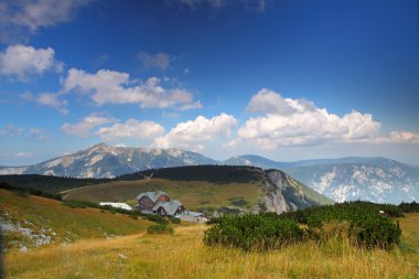 Güzel yaz manzarası