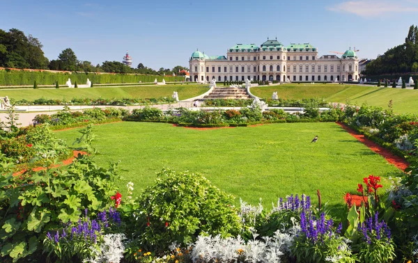 Вена - Belvedere Palace с цветами - Австрия — стоковое фото