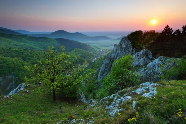 Green Rocky moutain at sunset wih path and sun. — Stock Photo, Image