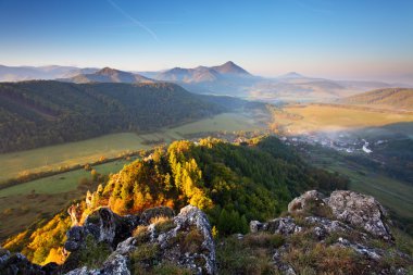 Mountain summer landscape with colorful forest clipart