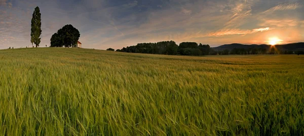 Coucher de soleil spectaculaire sur le terrain — Photo