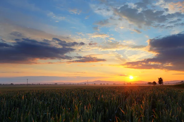 Coucher de soleil dramatique sur le terrain — Photo