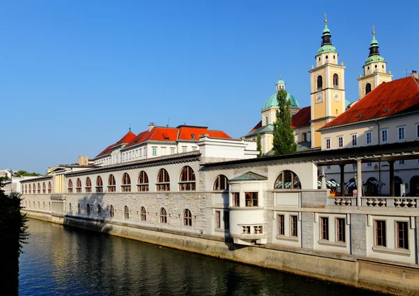 Floden i ljubljana från dragon bridge — Stockfoto