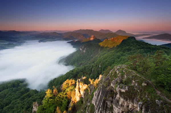 Mountains with forest — Stock Photo, Image