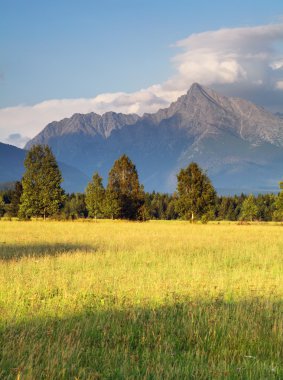 Slovakya mount krivan - tatras