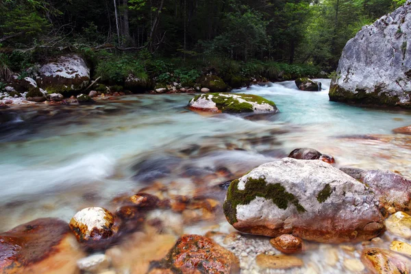 Kamniska bistrica stream in Slovenië Alpen berg — Stockfoto