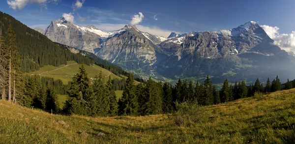 Zwitserse Alpen met de hut — Stockfoto