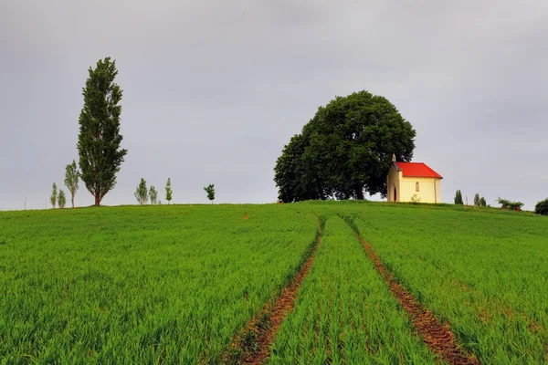 Çayır ve Şapel ile kırsal — Stok fotoğraf