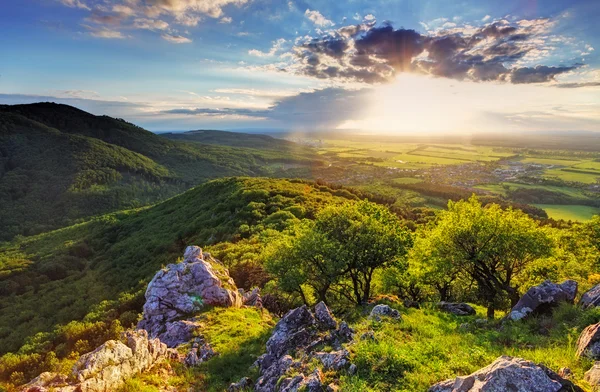 Montagne rocheuse verte au coucher du soleil - Slovaquie — Photo