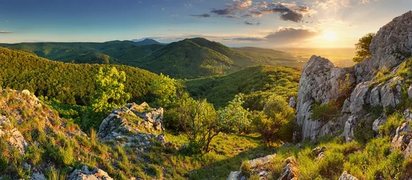 Hegyi erdő panoráma - Szlovákia — Stock Fotó