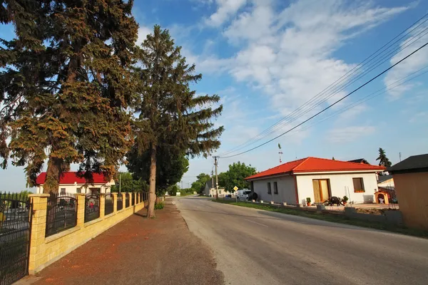 Dorp weg met huizen in Slowakije — Stockfoto