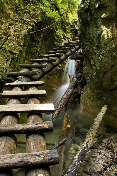Canyon with mountain creek and wooden ladder — Stock Photo, Image