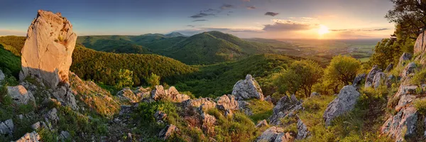 Green nature panorama with sun — Stock Photo, Image