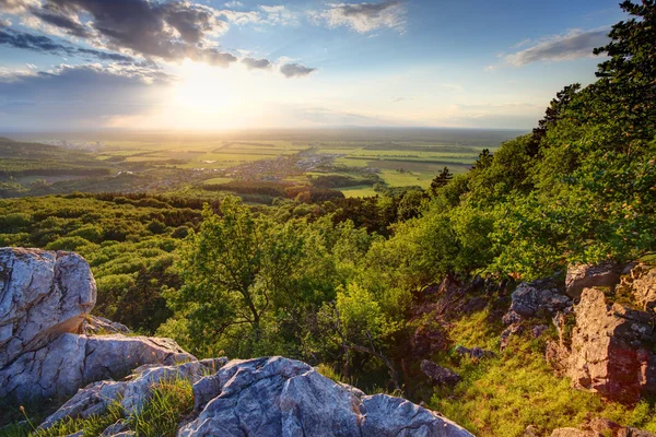 Floresta verde ao pôr-do-sol - Eslováquia — Fotografia de Stock