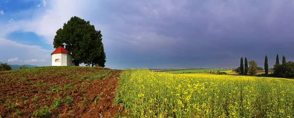 Frühlingswiese mit blauem Himmel und Wolken und gelber Blume — Stockfoto