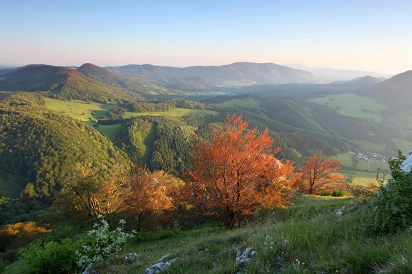 Horské panorama s sun — Stock fotografie