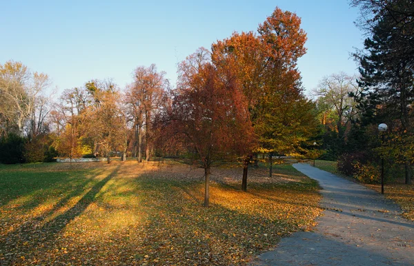 Güz - hüzünlü janka krala Şehir Parkı — Stok fotoğraf