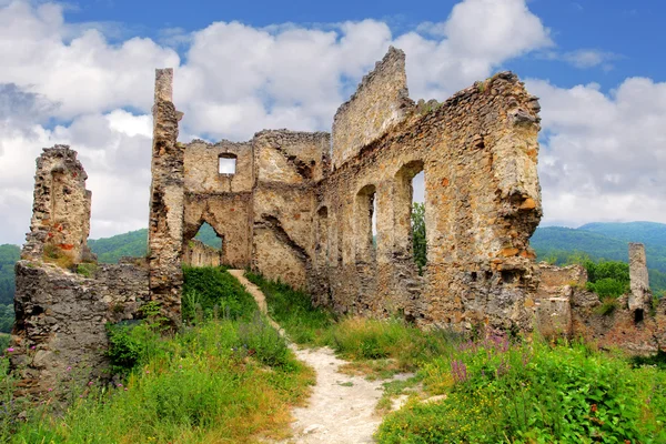 城堡-povazsky 城堡、 斯洛伐克的废墟 — 图库照片