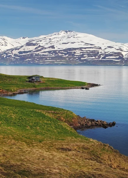 Krajobraz lato Islandii. Dom, fiord, góry — Zdjęcie stockowe