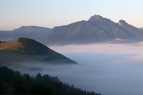 Nebel im Gebirge - Slowakei — Stockfoto