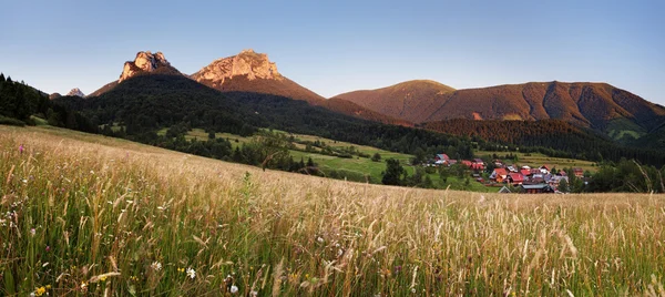 Fatra mountain panorama with flower - Slovakia — Stock Photo, Image