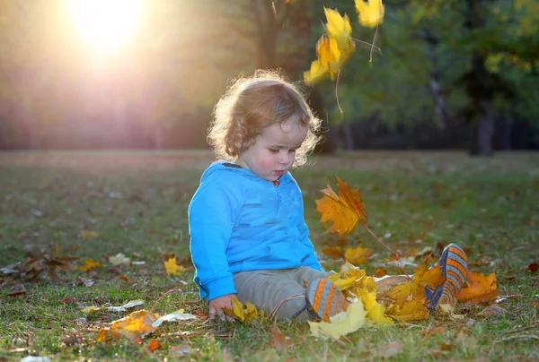 Cute little boy is playing with leaves in autumn park — Stock Photo, Image