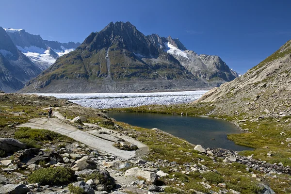Aletschgletscher - horní — Stock fotografie