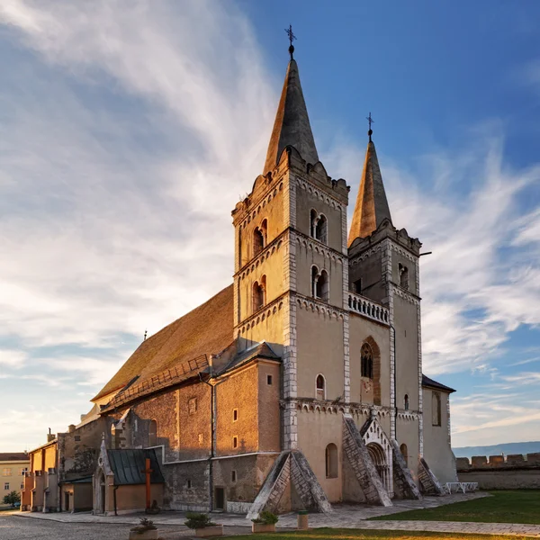 Kathedraal van st. martin, hoofdstuk spisska, Slowakije — Stockfoto