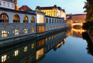 Ljubljana, Slovenya - ljubljanica Nehri'nin ve orta çarşı