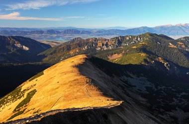 patika, düşük tatras - Slovakya