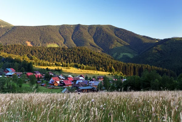 Dorflandschaft mit Wiese und Wald — Stockfoto