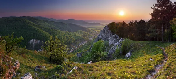 Green forest mountain at sunset with sun — Stock Photo, Image