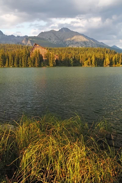 与美丽的湖-strbske-pleso、 垂直自然山场景 — 图库照片