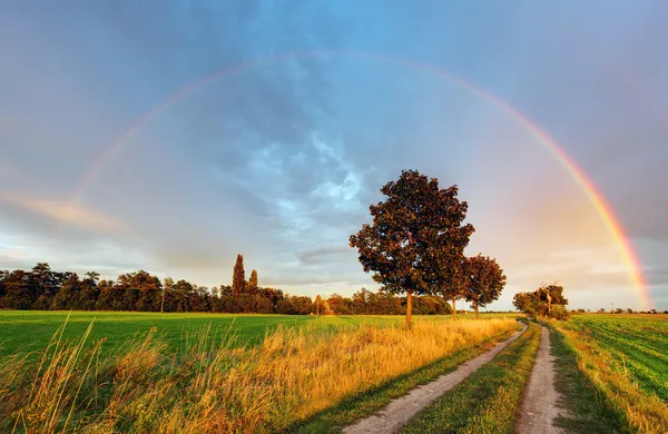 Regenbogen über Feldweg — Stockfoto