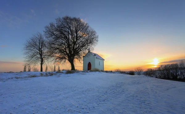 Tramonto invernale sul campo — Foto Stock