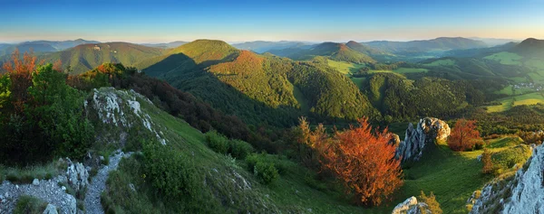 Montañas con paisaje de bosque verde. — Foto de Stock