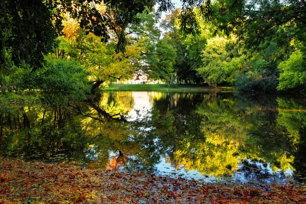 Reflectie in de herfst park — Stockfoto