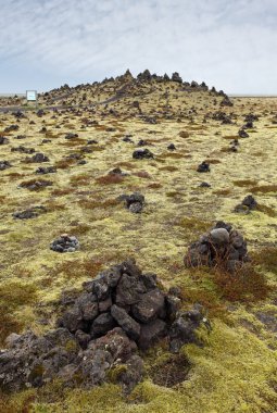 İzlanda yosun volkanik kaya kapsar