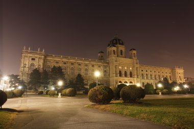 Doğal Tarih Müzesi, Viyana.