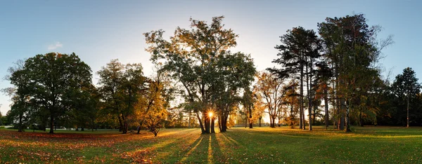 Φθινόπωρο πάρκο - Πανόραμα με ήλιο — Φωτογραφία Αρχείου