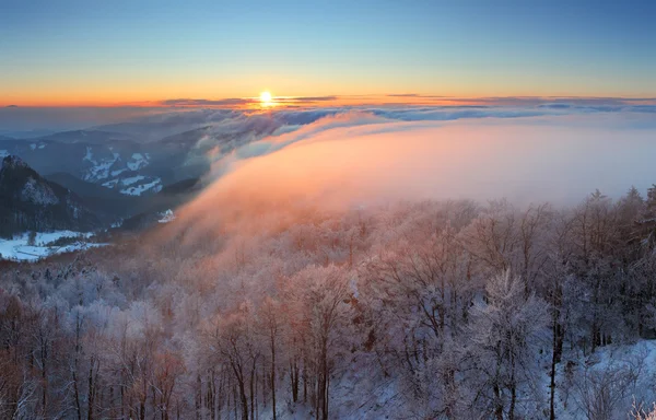 Zonsondergang in de winter over de wolken — Stockfoto