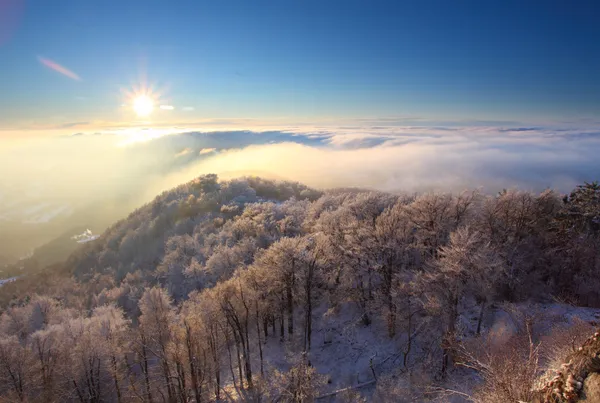 Vintern solnedgång över molnen — Stockfoto